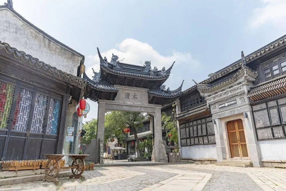 救援达尔马提亚狗